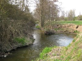 Kocába 2 Daleké Dušníky 8.4.11 (5).jpg